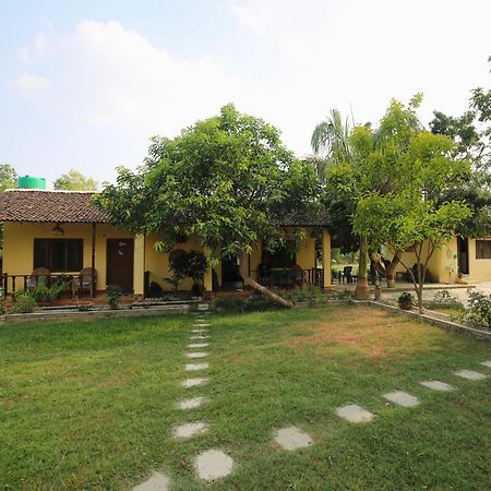 Bardia Eco Friendly Homestay Bardiya Exteriör bild